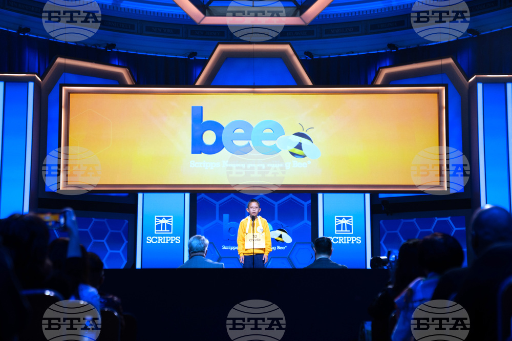 Spelling Bee