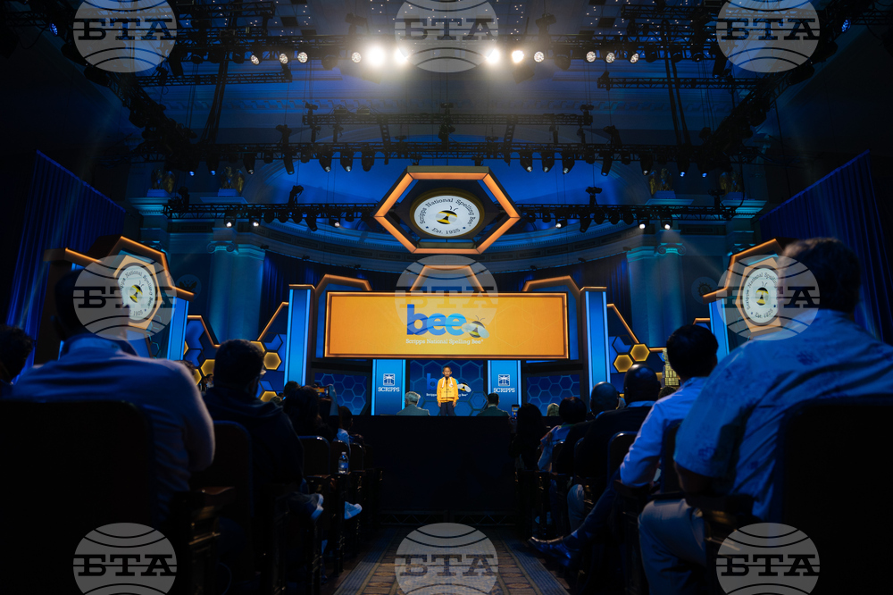 Spelling Bee