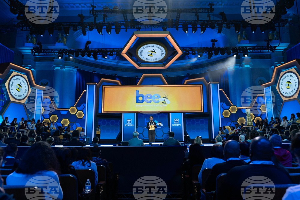 Spelling Bee
