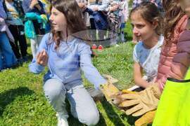 Стара Загора - сдружение "Зелени Балкани" - керкенези