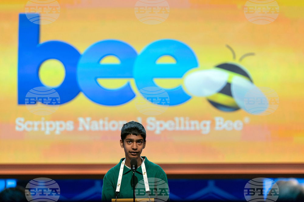 Spelling Bee