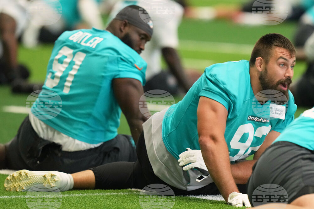 Dolphins Football