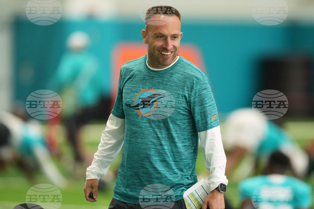 Dolphins Football