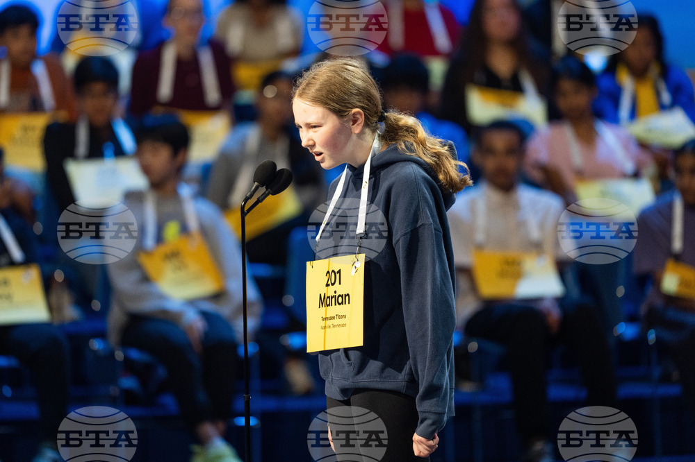 Spelling Bee