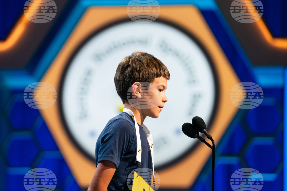 Spelling Bee