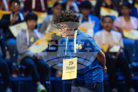 Spelling Bee