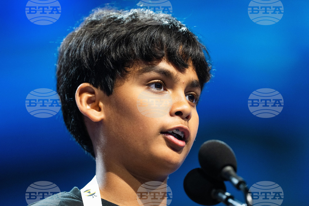 Spelling Bee