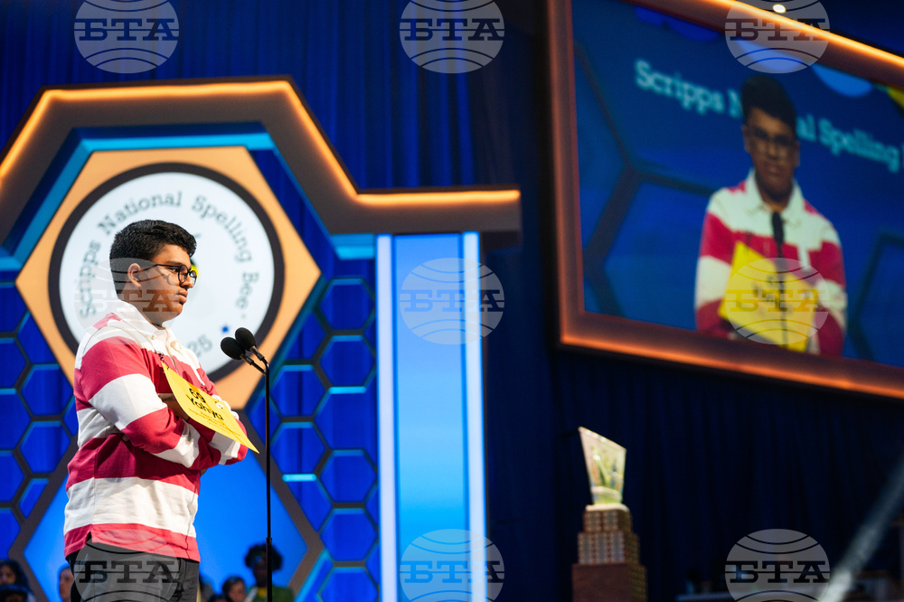 Spelling Bee