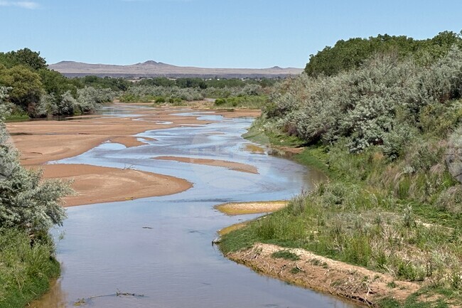 Rio Grande Water Fight