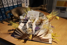 Румъния - Национален музей на литературата - БГ кино - представяне
