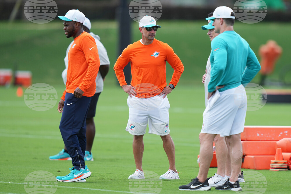 Dolphins Football