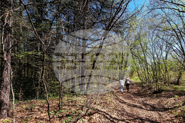 Варна - Природен парк "Златни пясъци"