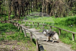Варна - Природен парк "Златни пясъци"
