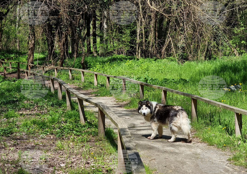 Варна - Природен парк "Златни пясъци"