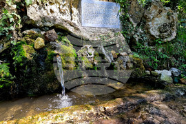 Варна - Природен парк "Златни пясъци"