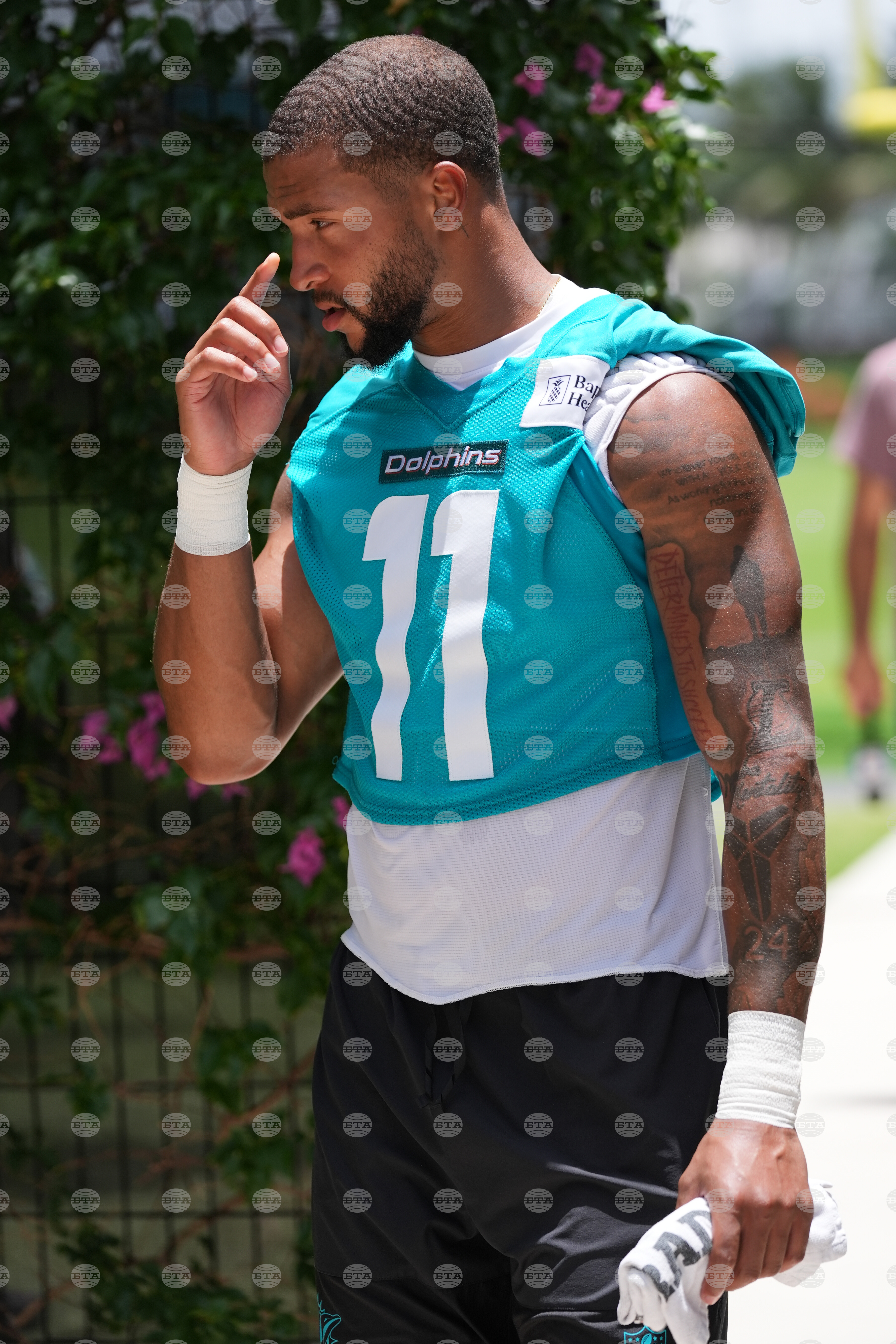 Dolphins Football