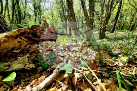 Варна - Природен парк "Златни пясъци"