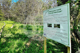 Варна - Природен парк "Златни пясъци"