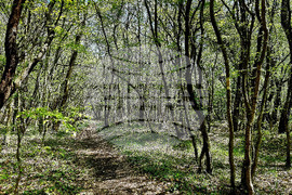 Варна - Природен парк "Златни пясъци"