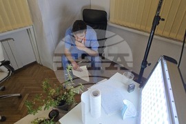 „Булгартабак“ - роман - представяне