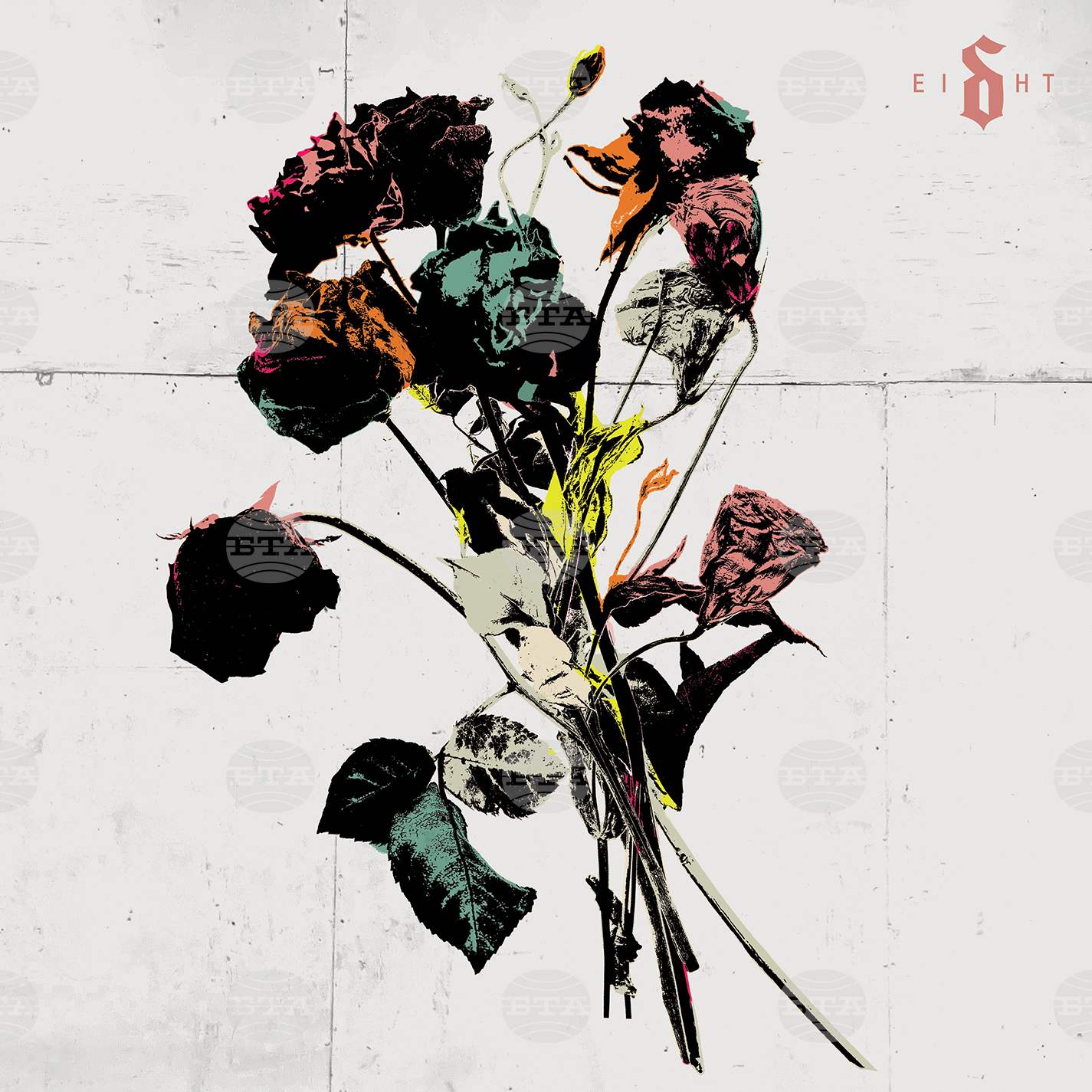 Music Review - Shinedown
