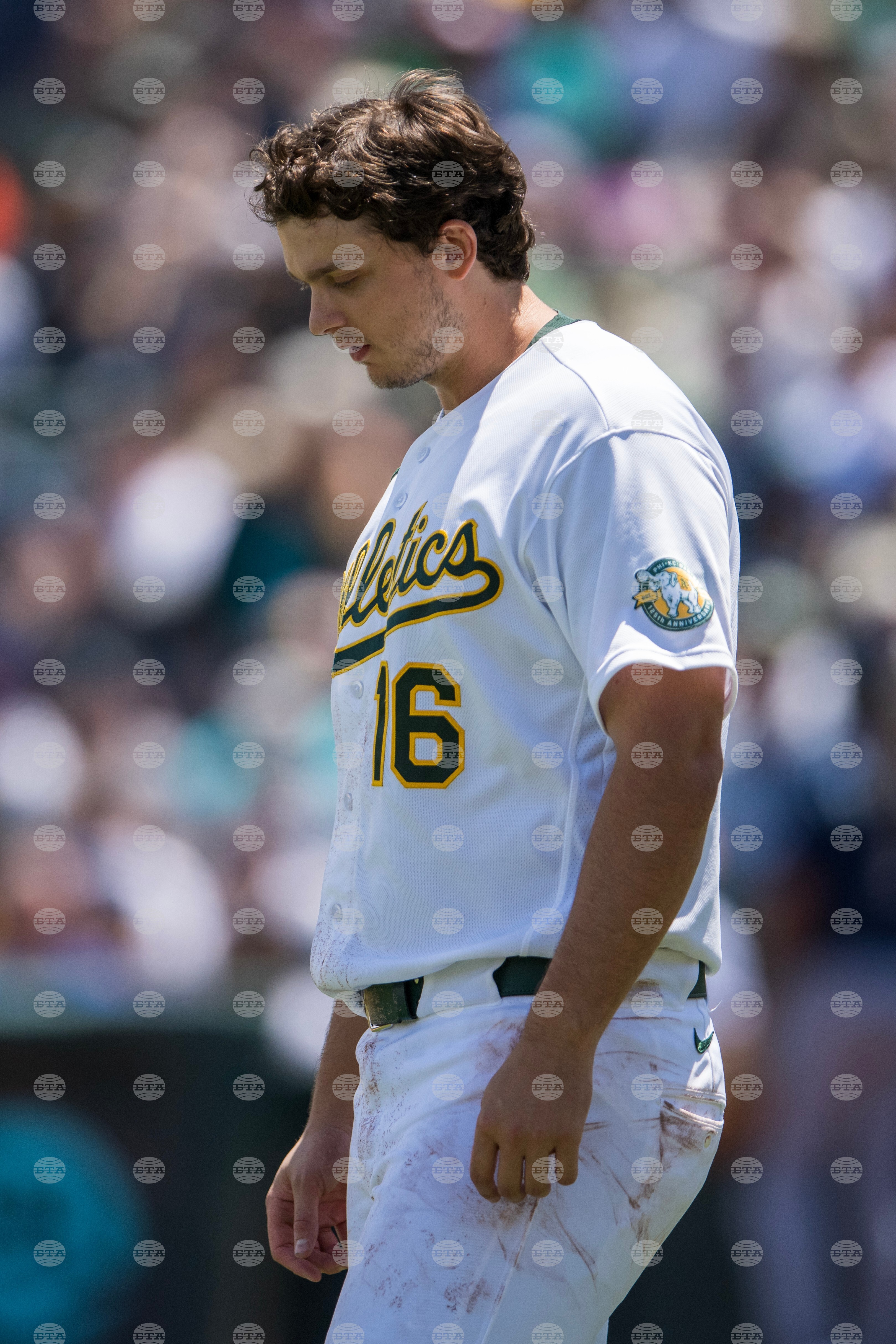 Mariners Athletics Baseball