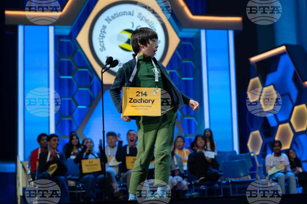 Spelling Bee