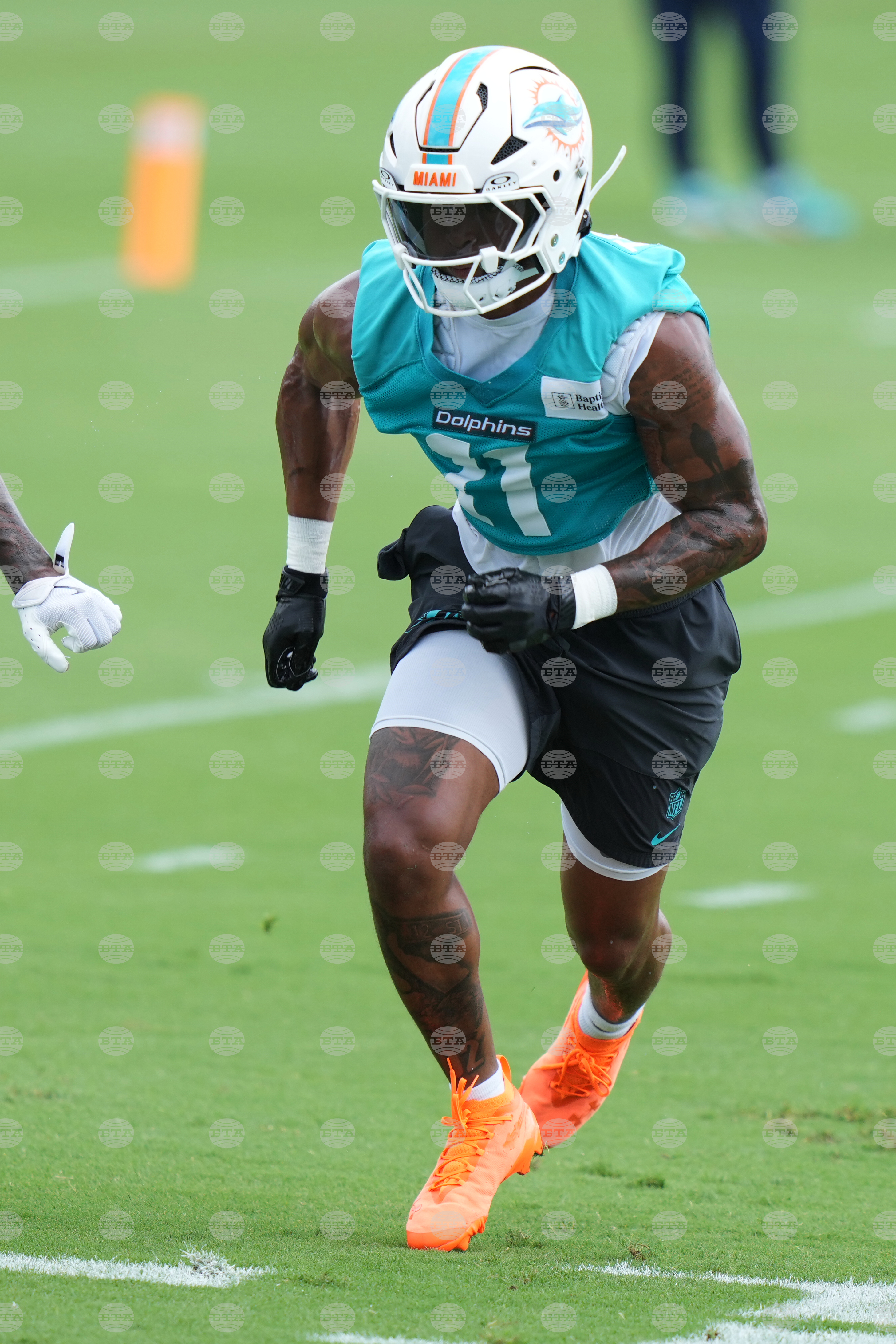 Dolphins Football