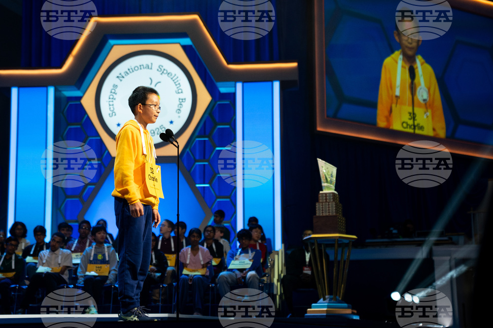 Spelling Bee