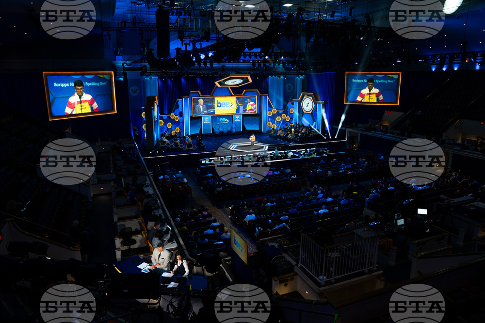 Spelling Bee