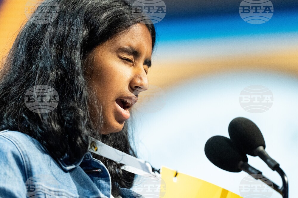 Spelling Bee