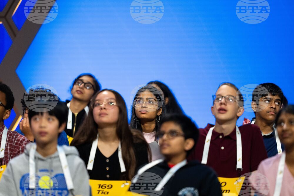Spelling Bee