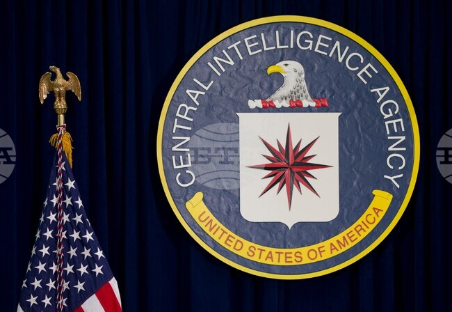 CIA Official Gold Bars