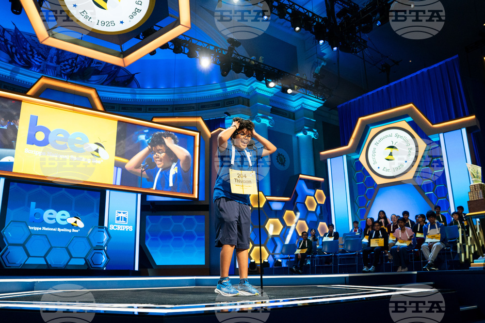 Spelling Bee