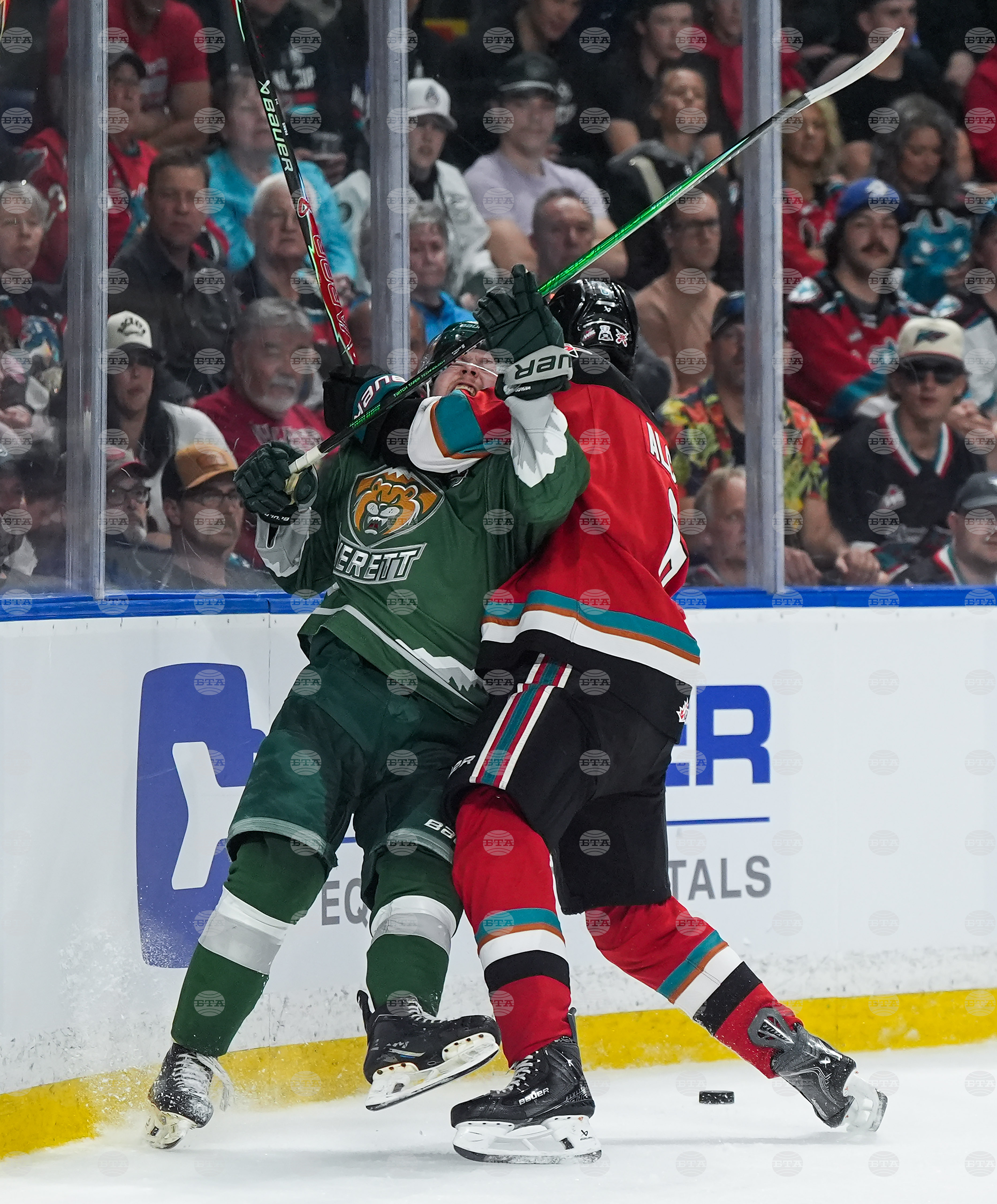 Canada Memorial Cup Hockey