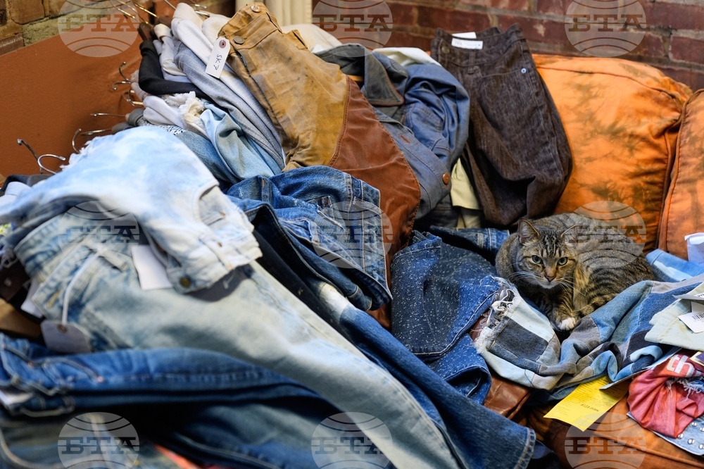 Climate Choices Sustainable Denim