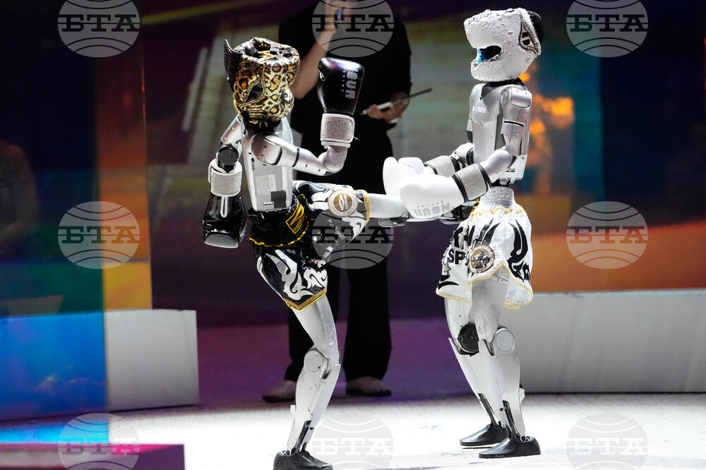 South Korea Robots