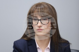 Централно митническо управление - наркотични вещества - брифинг - Десислава Петрова