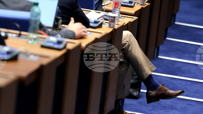 National Assembly to No Longer Go on Recess during Parliamentary Election Campaign, MPs Decide