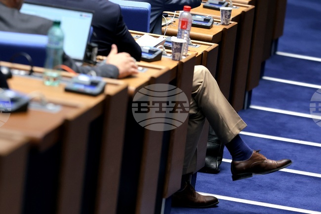 National Assembly to No Longer Go on Recess during Parliamentary Election Campaign, MPs Decide