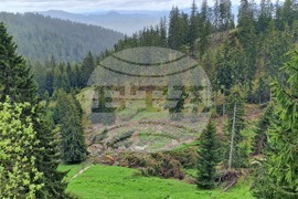 Смолян - Общински съвет - свлачище