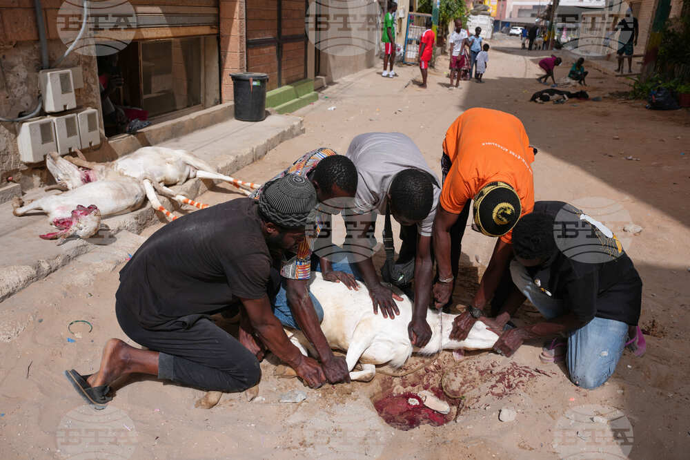 Senegal Eid al-Adha