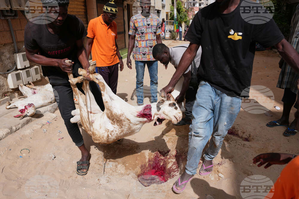 Senegal Eid al-Adha