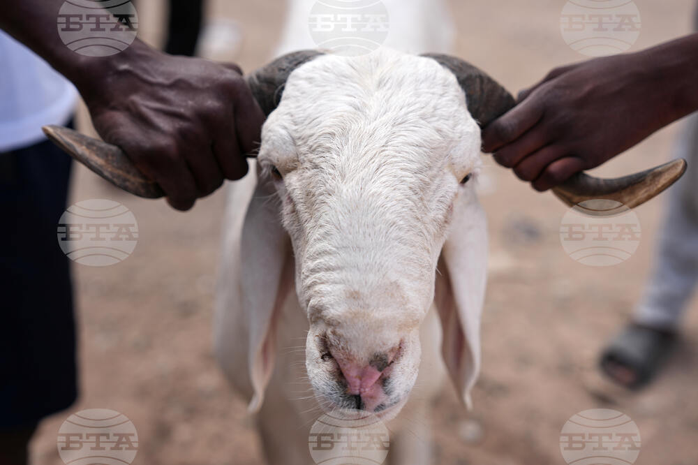 Senegal Eid al-Adha