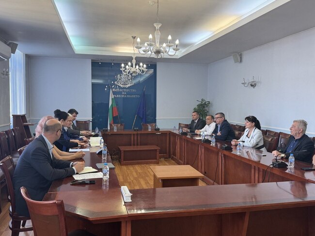 Кметът на Русе и представители на дунавските общини настояха пред здравния министър за устойчиви мерки срещу комарните популации