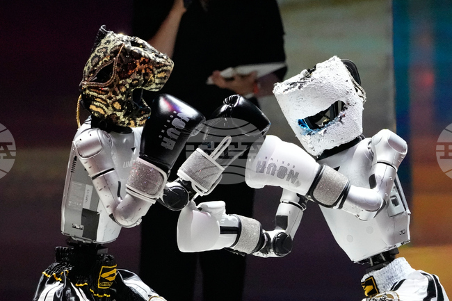 APTOPIX South Korea Robots