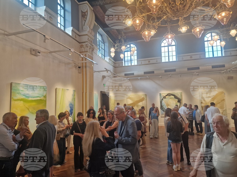 Греди Асса - изложба - Viacom Art Hall