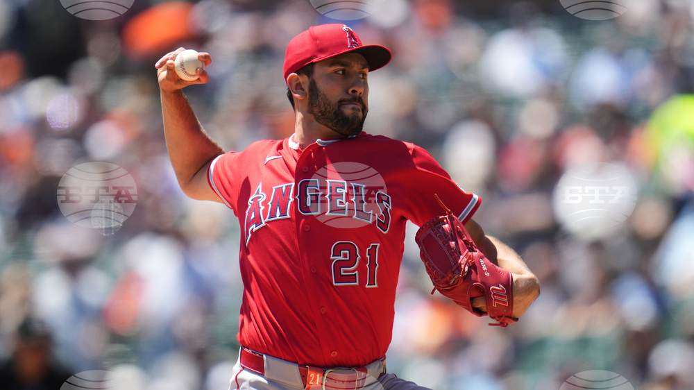 Angels Tigers Baseball
