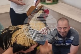 Северна Македония - училище „Здравей“ - завършване на академичната година