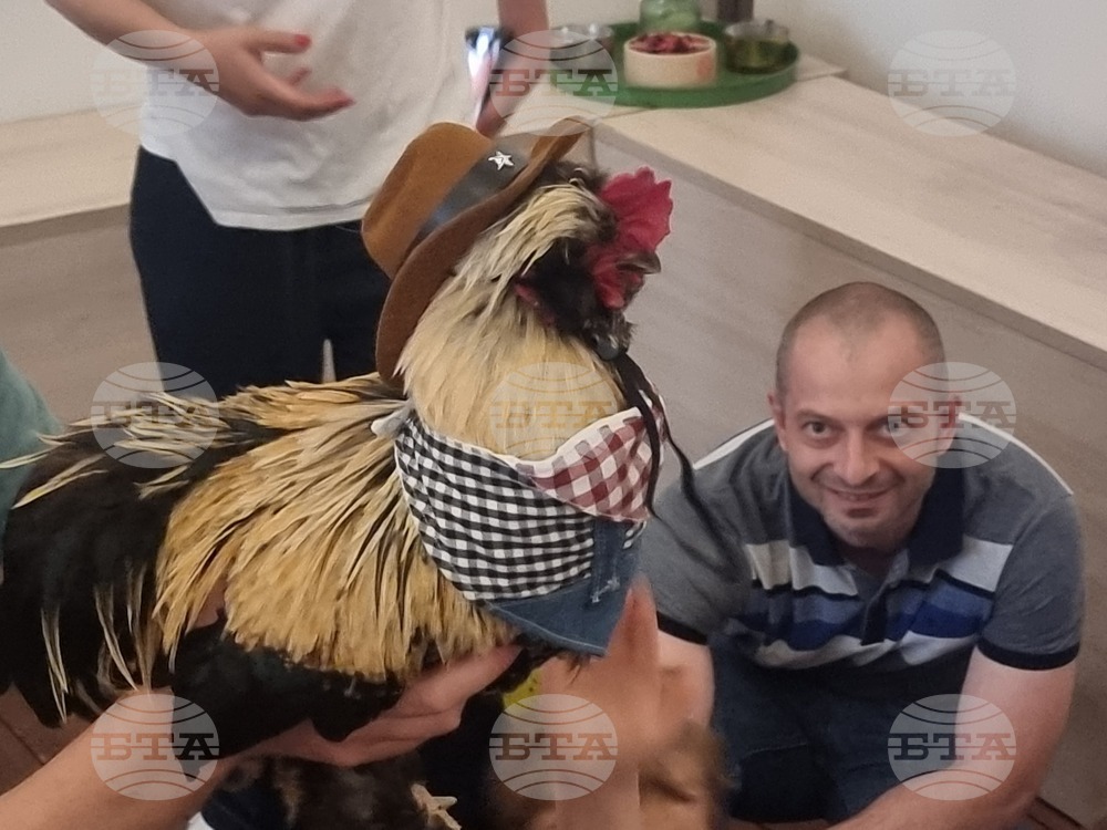 Северна Македония - училище „Здравей“ - завършване на академичната година